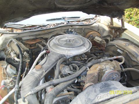 1978 Ford Ranchero - The engine bay of a 1978 Ford Ranchero shows its V8 engine and associated components.
