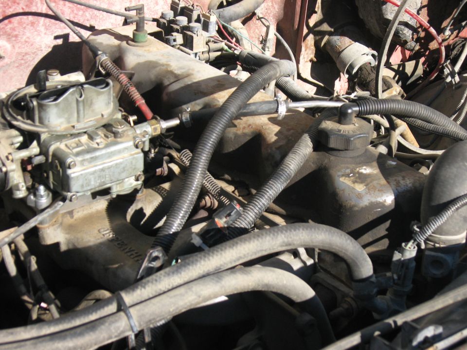 Engine bay with carburetor and hoses visible