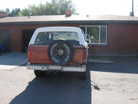 1981 Ford Bronco - Rear view of a 1981 Ford Bronco, a spare tire on the tailgate.