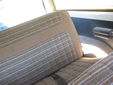 1981 Ford Bronco - Interior view of a vehicle's striped seats and door panel.
