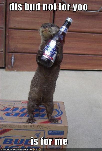 1995 Ford Bronco - An otter stands on a box of Bud Light, holding a bottle and claiming it for itself with a humorous caption.