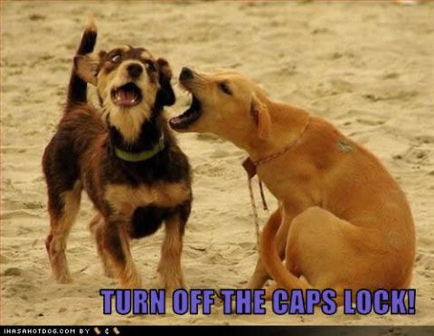 1995 Ford Bronco - A humorous scene of two dogs on a beach, with one appearing to yell at the other, accompanied by the text "TURN OFF THE CAPS LOCK!"