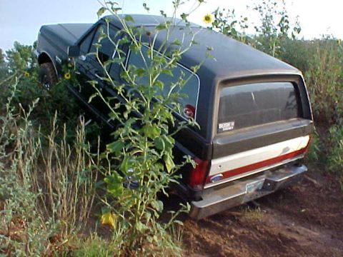 1989 Ford Bronco - This 1989 Ford Bronco is navigating a rough, off-road terrain with dense vegetation.