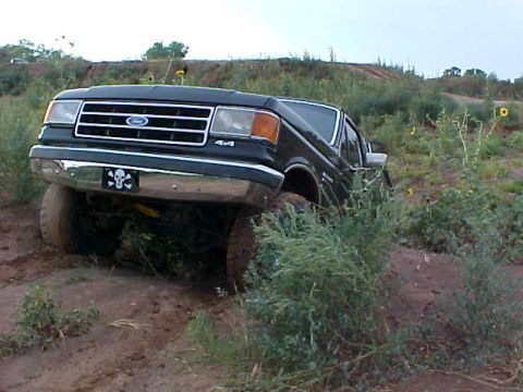 1989 Ford Bronco - This black Ford Bronco is navigating a muddy, overgrown terrain with a skull on its license plate.
