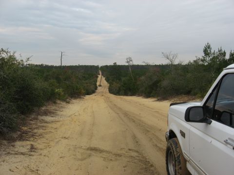 1994 Ford Bronco - A white SUV drives down a dirt road through a wooded area.