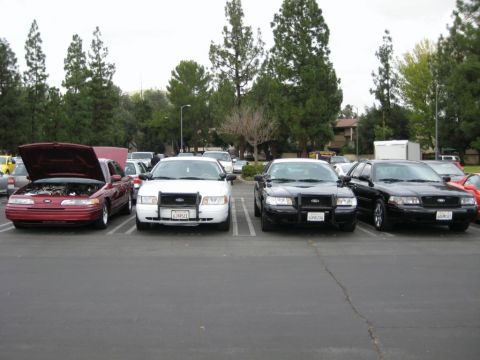 1992 Ford Crown Victoria - A lineup of Ford Crown Victorias, including a civilian model and several police cruisers, are parked in an outdoor lot.