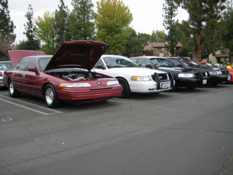 1992 Ford Crown Victoria - A line of Ford Crown Victorias, including a maroon one with its hood up, are parked in a lot.