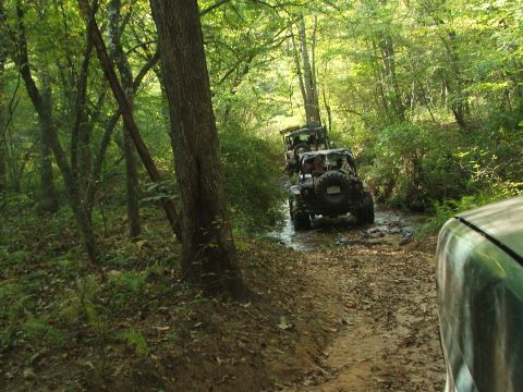 1996 Ford Bronco - A group of off-road vehicles navigates a wet and muddy path through a dense forest.