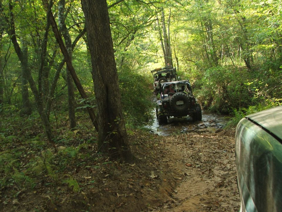 Several off-road vehicles driving through a muddy forest trail