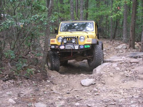 1996 Ford Bronco - A yellow Jeep navigates a challenging off-road trail through a dense forest.