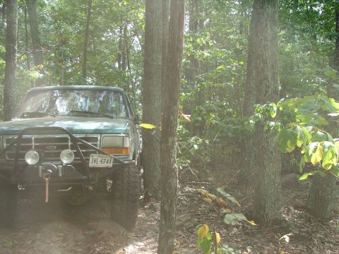 1996 Ford Bronco - A green 1992 Ford Bronco is parked on a dirt path surrounded by trees in a forest.