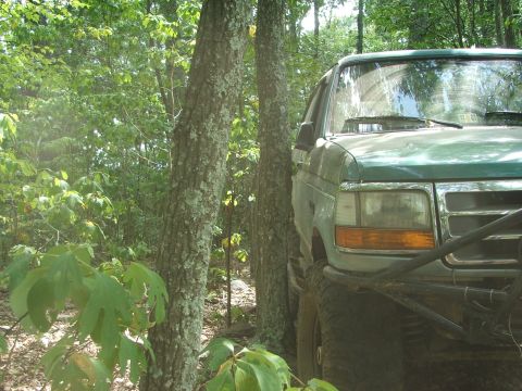 1996 Ford Bronco - This 1996 Ford Bronco is seen off-road, partially obscured by trees.
