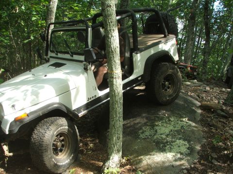 1996 Ford Bronco - A white Jeep Wrangler navigates a challenging rocky path through a dense forest.