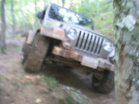 1996 Ford Bronco - A Jeep Wrangler TJ navigates an off-road trail surrounded by trees.