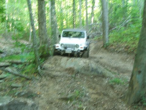1996 Ford Bronco - Jeep Wrangler navigates a wooded trail with rocky terrain.