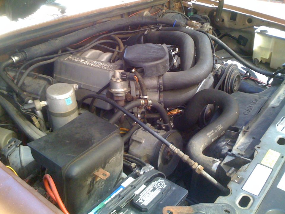 Engine bay with large hoses and engine components visible