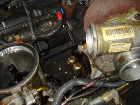 1994 Ford F-350 - Close-up view of an engine compartment, showing a turbocharger and oil filter housing.