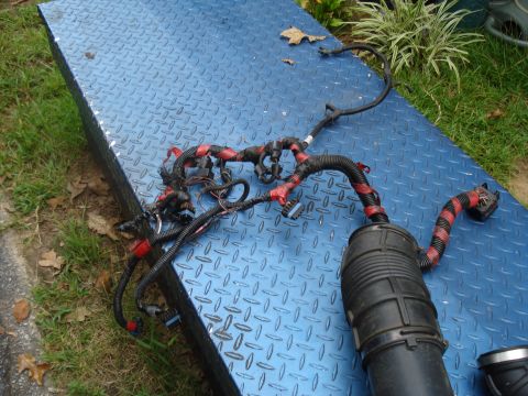 1994 Ford F-350 - Engine wiring harness and air intake tube are shown on a blue metal surface, with grass and foliage in the background.