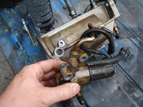 1994 Ford F-350 - A hand holds a fuel pressure regulator, likely removed for maintenance or repair.
