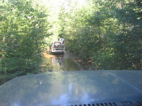 1986 Ford Bronco - Multiple trucks navigate a muddy, tree-lined trail.