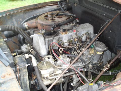 1994 Ford F-350 - Close-up view of a complex diesel engine, showing intricate fuel lines and mechanical components.
