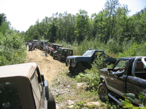 1986 Ford Bronco - A group of off-road vehicles are lined up on a dirt trail surrounded by dense foliage.