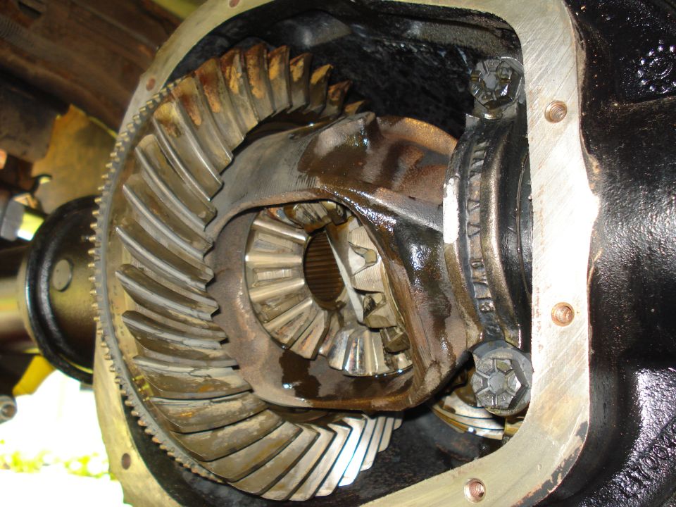 Close-up of differential gears with oil. Some teeth appear worn