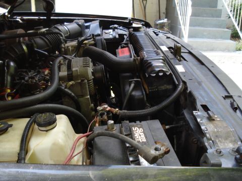 1994 Ford F-350 “dual-e”