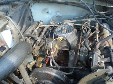 1984 Ford F-250 - This image shows various engine components, including fuel injectors and a filter housing, with visible wiring and hoses.