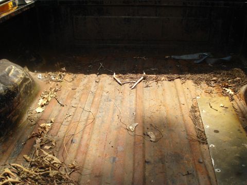 1984 Ford F-250 - The interior of a truck bed shows significant rust and debris.