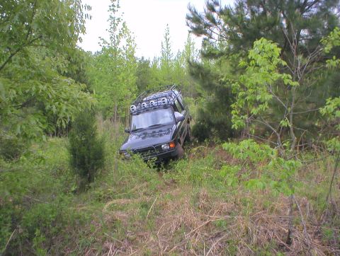 1983 Ford Bronco - SUV navigates a wooded trail with dense foliage and uneven terrain.