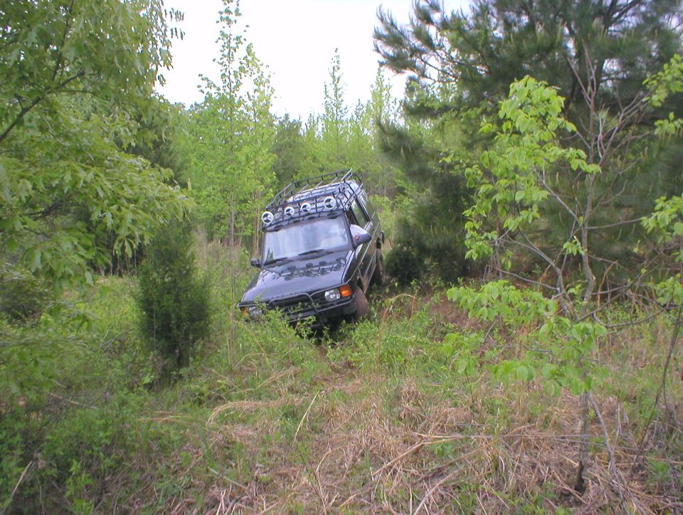 Dark SUV with roof rack and lights tilted on overgrown wooded off-road trail