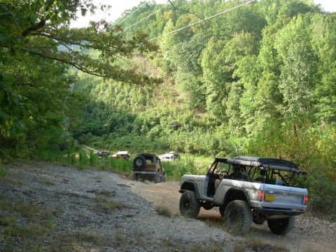 1983 Ford Bronco - A convoy of off-road vehicles, including a 1983 Ford Bronco, navigates a dirt path through a wooded area.