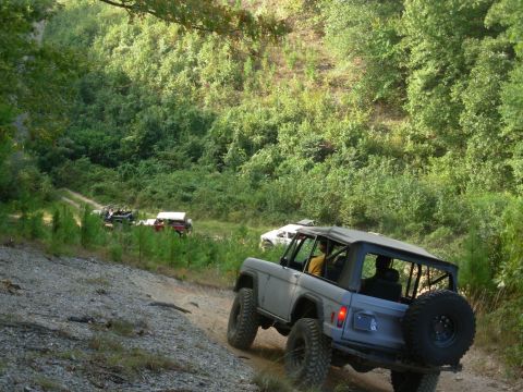 1983 Ford Bronco - A group of Ford Broncos navigate a wooded trail during an off-road excursion.