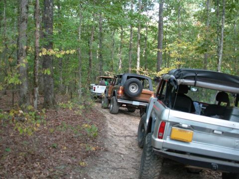 1983 Ford Bronco - A convoy of Ford Broncos navigates a wooded trail, kicking up dust on the path ahead.