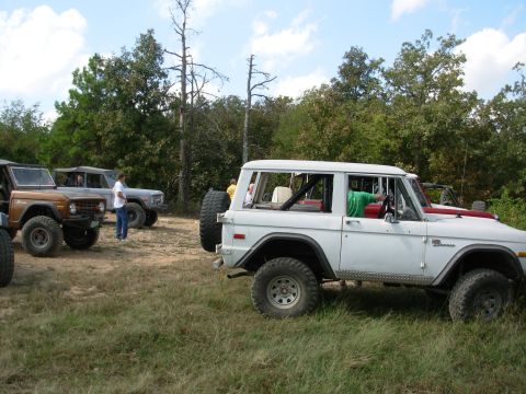 1983 Ford Bronco - Several Ford Broncos are parked in a grassy, wooded area on a sunny day.