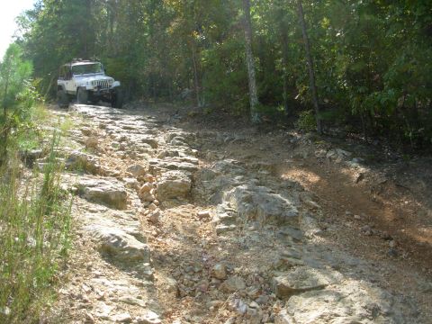 1983 Ford Bronco - Jeep Wrangler navigates a challenging rocky path through a forest.