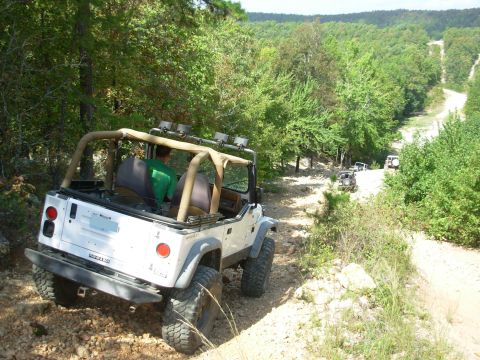 1983 Ford Bronco - Several Jeeps navigate a wooded off-road trail on a sunny day.