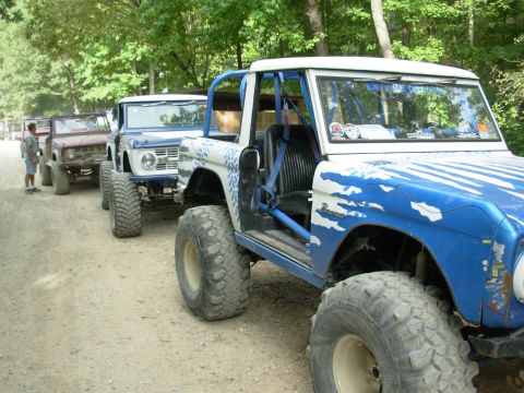 1983 Ford Bronco - Several modified Ford Broncos, including a blue and white 1983 model with a roll cage, are lined up on a dirt road.