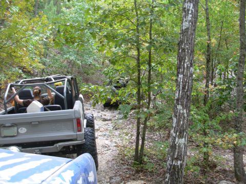 1983 Ford Bronco - Off-road vehicles navigate a challenging rocky trail surrounded by dense forest foliage.