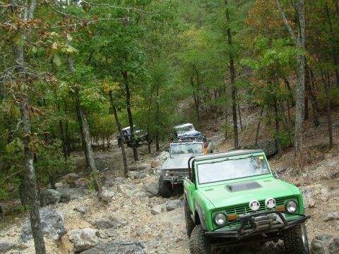 1983 Ford Bronco - Multiple Ford Broncos navigate a challenging off-road trail through a dense forest.