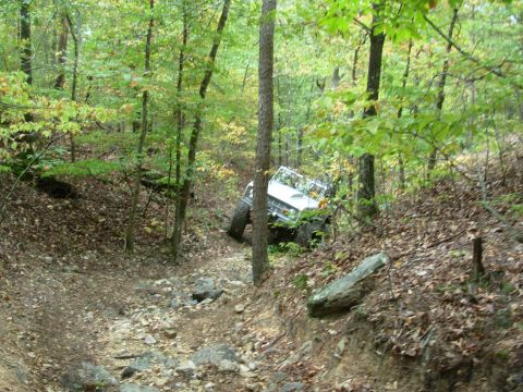 1983 Ford Bronco - A white off-road vehicle is seen on a challenging, wooded trail with rocks and fallen leaves.
