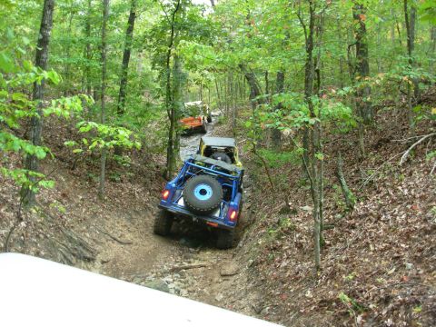 1983 Ford Bronco - Multiple off-road vehicles navigate a muddy path through a dense forest.