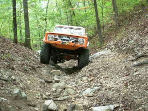 1983 Ford Bronco - This vintage SUV navigates a challenging off-road path through a dense forest.
