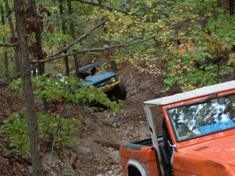 1983 Ford Bronco - Two Ford Broncos navigate a wooded trail with steep inclines and fallen leaves.