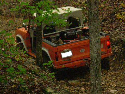1983 Ford Bronco - This 1983 Ford Bronco navigates a challenging off-road course on a wooded trail.