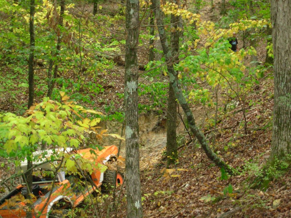 Orange and white open-top 4x4 partly hidden in a leafy wooded ravine
