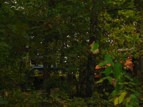1983 Ford Bronco - Two off-road vehicles are partially obscured by dense foliage in a wooded area.