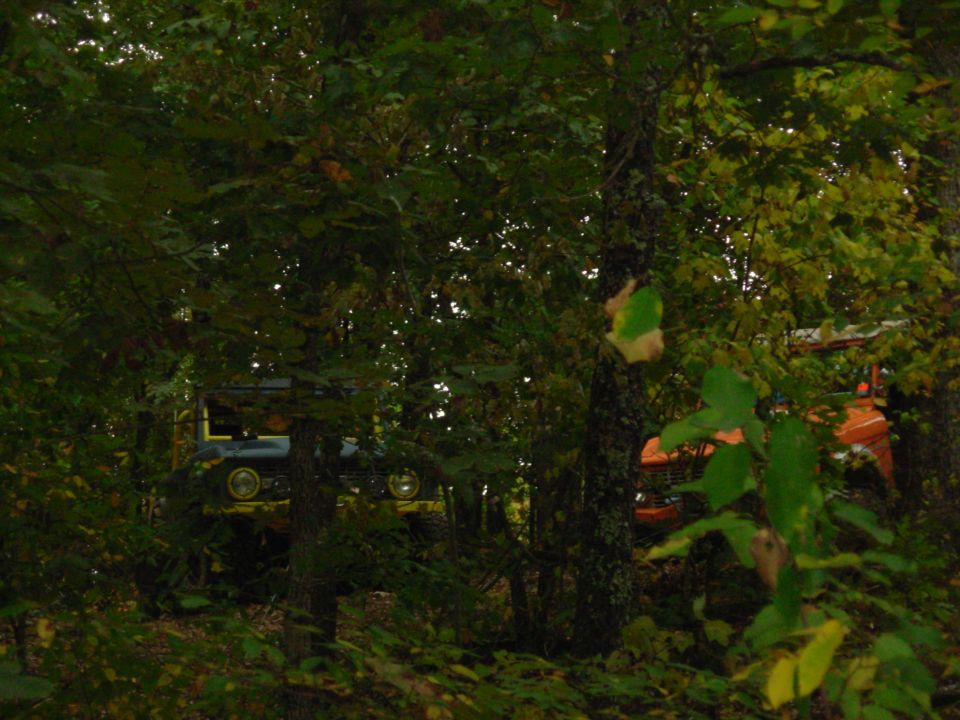 Two early Bronco-style 4x4s parked in shaded woods seen through foliage