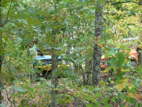 1983 Ford Bronco - Two SUVs, one blue and one orange, are seen partially obscured by trees in a wooded area.